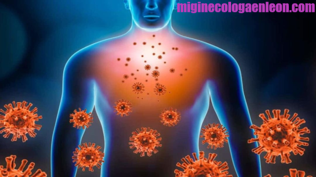 Tips Meningkatkan Imunitas Tubuh Agar Terhindar Dari Penyakit Di Musim Pancaroba