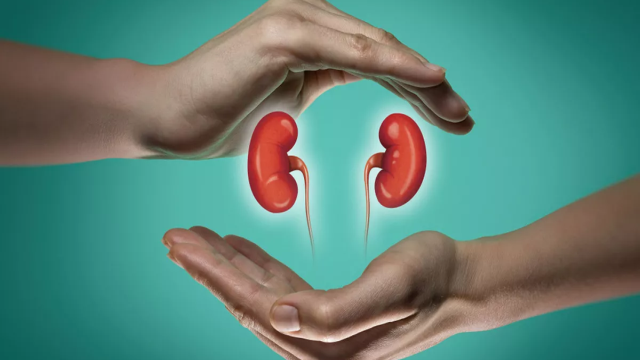7 Tips dan Cara Menjaga Kesehatan Ginjal Agar Tetap Sehat dan Optimal