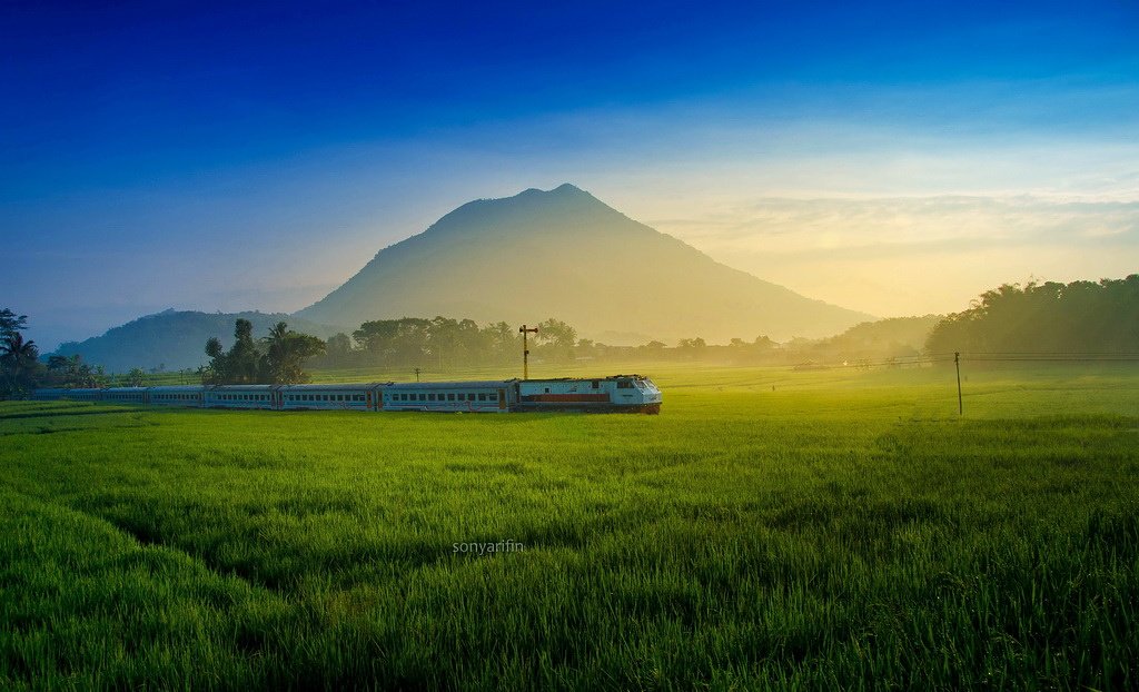 Menyambut pagi yang sehat dengan hari gembira